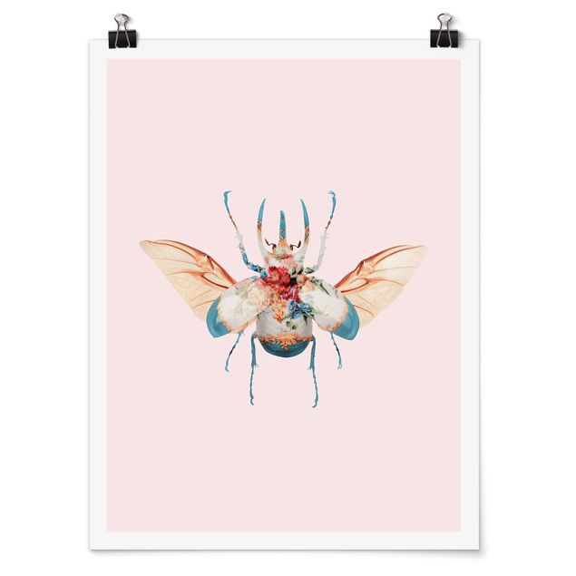 Poster retro Insecte Vintage