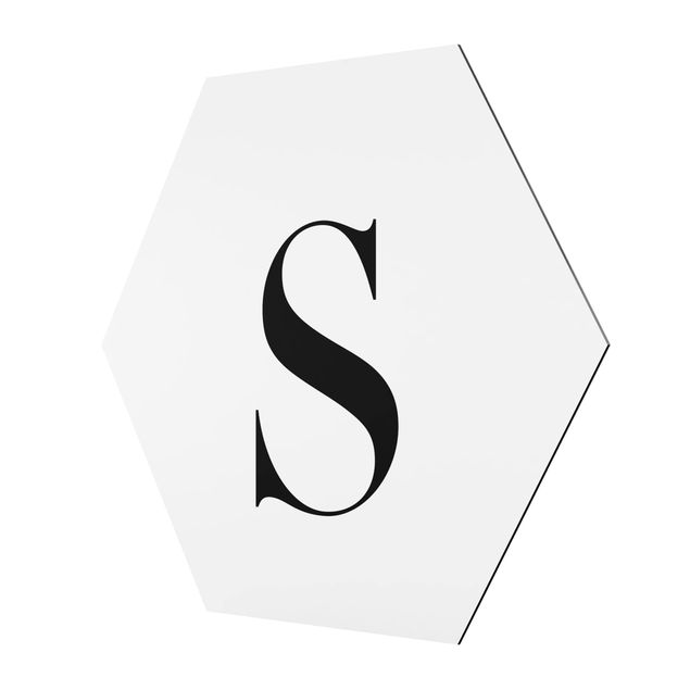 Tableau hexagonal Lettre Serif Blanc S