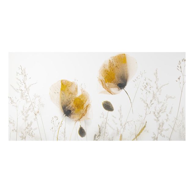 Tableaux coquelicots Fleurs de pavot et herbes délicates dans un doux brouillard
