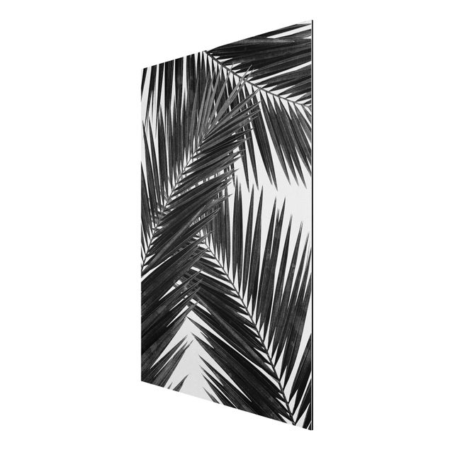 Tableaux moderne Vue sur des feuilles de palmier noir et blanc