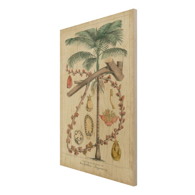 Tableaux en bois avec paysage Tableau Vintage Palmiers exotiques II