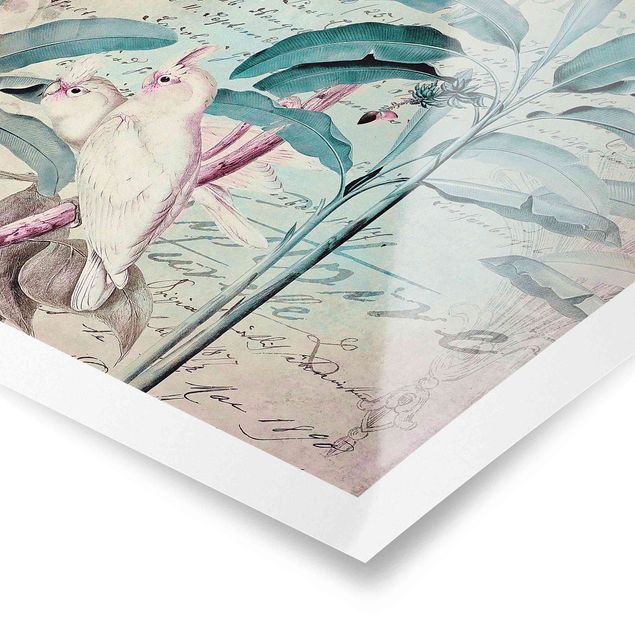Tableaux de Andrea Haase Colonial Style Collage - Cacatoès et Palmiers