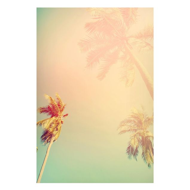 Tableau paysage Plantes Tropicales Palmiers au Coucher du Soleil IIl