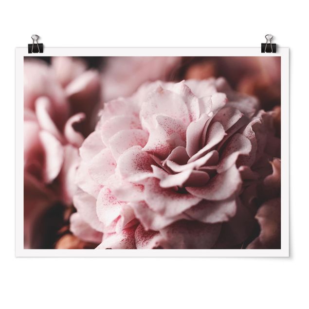 Tableaux amour Rose Pastel Shabby Pink