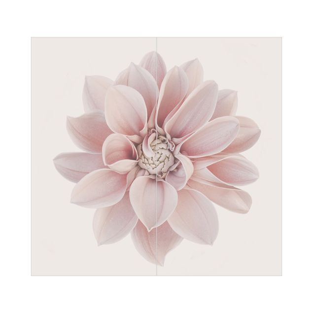 Revêtement mural de douche - Dahlia Flower Pastel White Pink