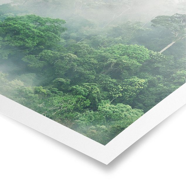 Tableaux jungle Jungle dans le brouillard