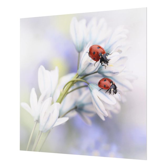 Fond de hotte - Ladybug On Flowers