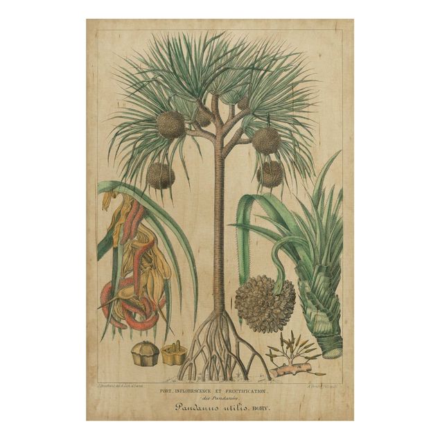 Tableaux en bois avec fleurs Tableau Vintage Palmiers exotiques I