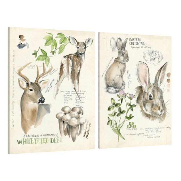 tableaux floraux Wilderness Journal - cerfs et lapins Lot II