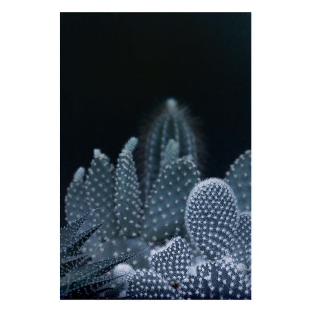 Tableaux magnétiques avec fleurs Famille de cactus la nuit