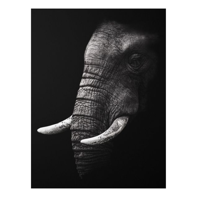 Tableau paysages Portrait d'éléphant sombre