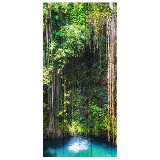 Panneau de séparation - Hanging Roots Of Ik-Kil Cenote