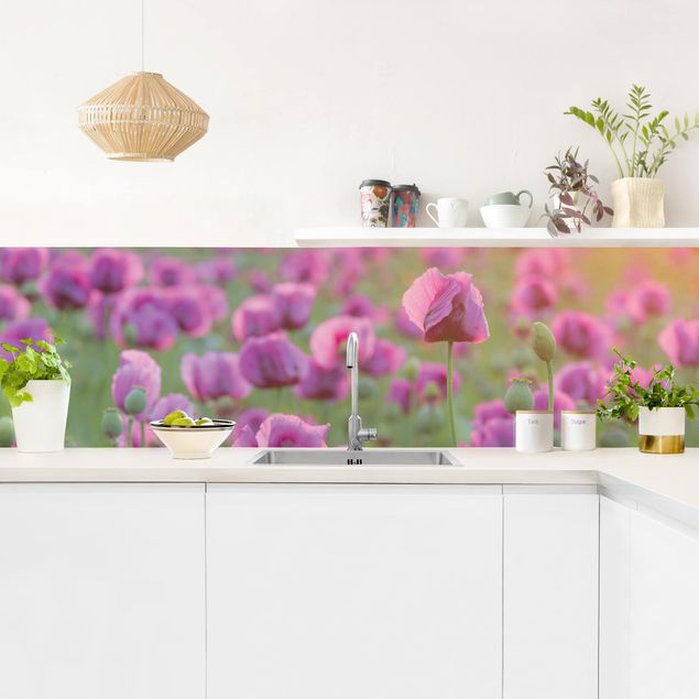 Crédence à coller fleurs Prairie de coquelicots violets au printemps