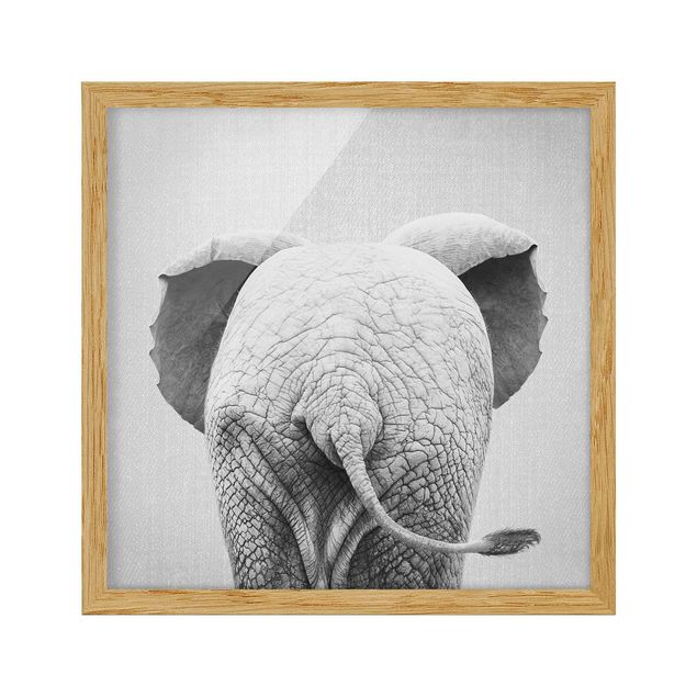 Affiches encadrées animaux Bébé Eléphant De Derrière Noir Et Blanc