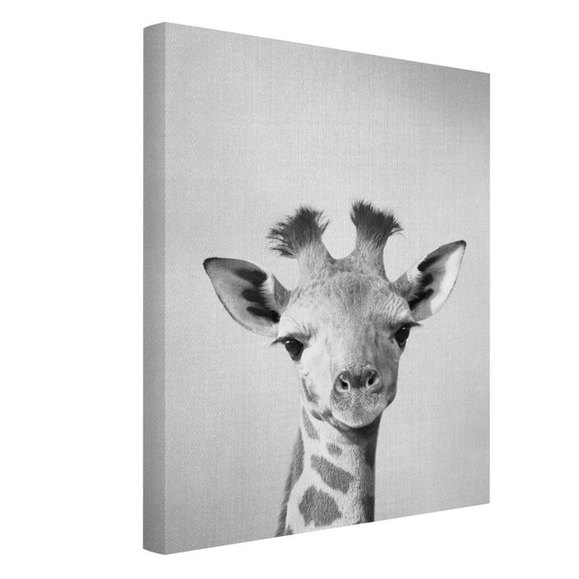 Tableaux sur toile en noir et blanc Bébé Girafe Gandalf Noir Et Blanc