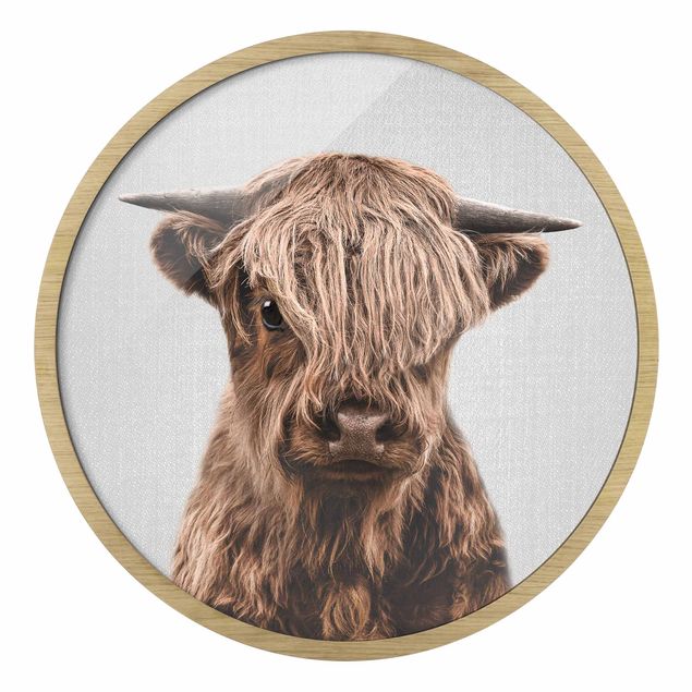 Tableaux moderne Bébé Vache Highland Henri