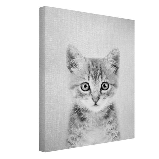 Tableaux sur toile en noir et blanc Bébé Chat Killi Noir Et Blanc