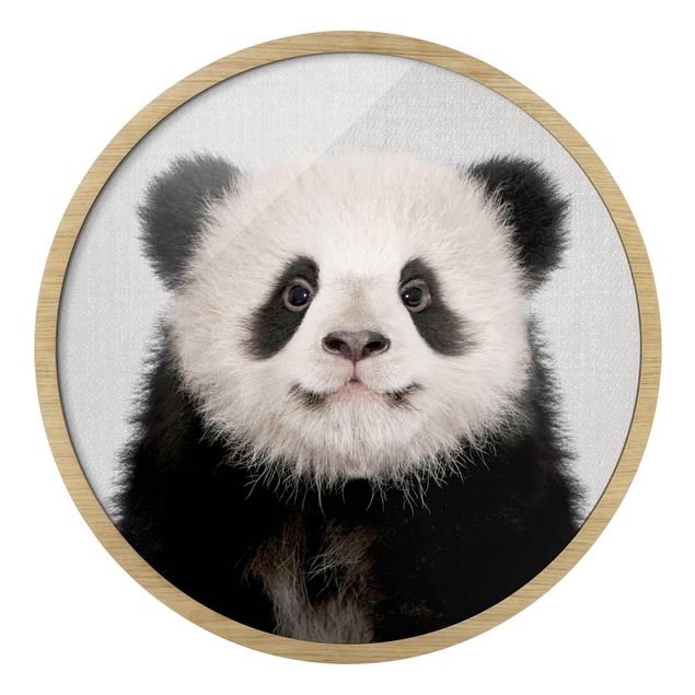 Tableaux encadrés animaux Bébé Panda Prian