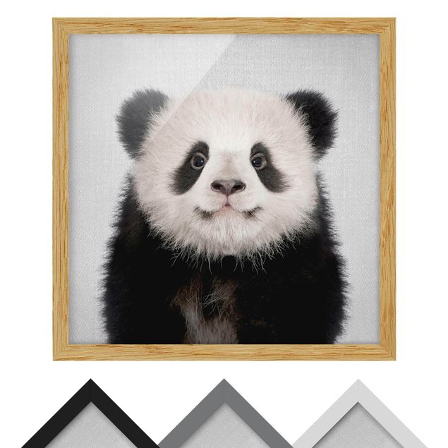 Tableaux noir et blanc Bébé Panda Prian