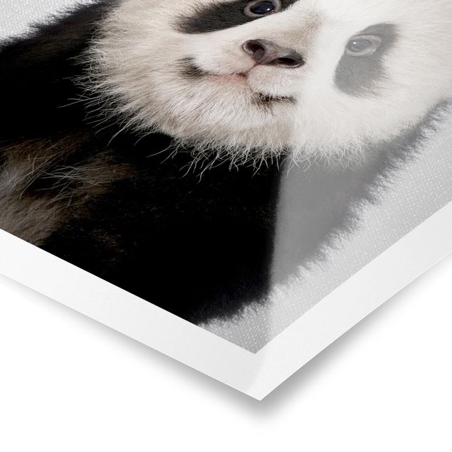 Tableaux noir et blanc Bébé Panda Prian