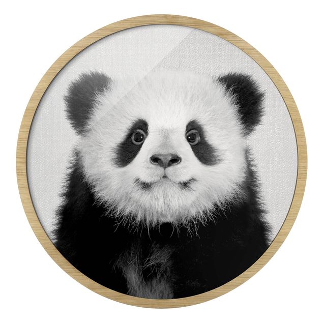 Tableaux encadrés animaux Bébé Panda Prian Noir et Blanc