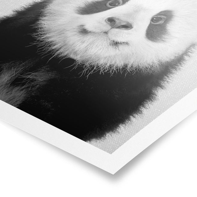 Tableau animaux Bébé Panda Prian Noir et Blanc