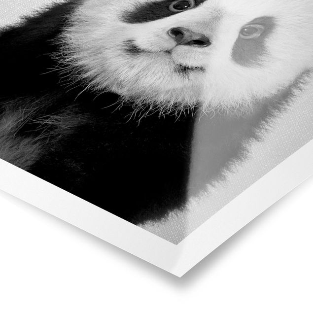 Tableaux noir et blanc Bébé Panda Prian Noir et Blanc