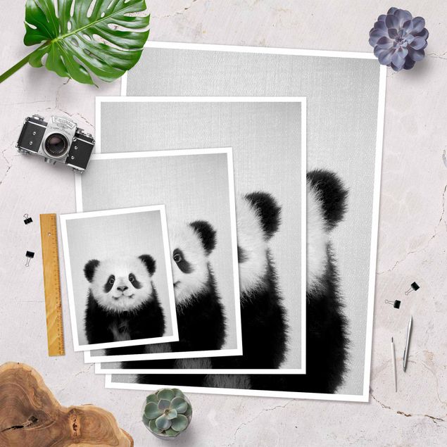 Posters muraux Bébé Panda Prian Noir et Blanc