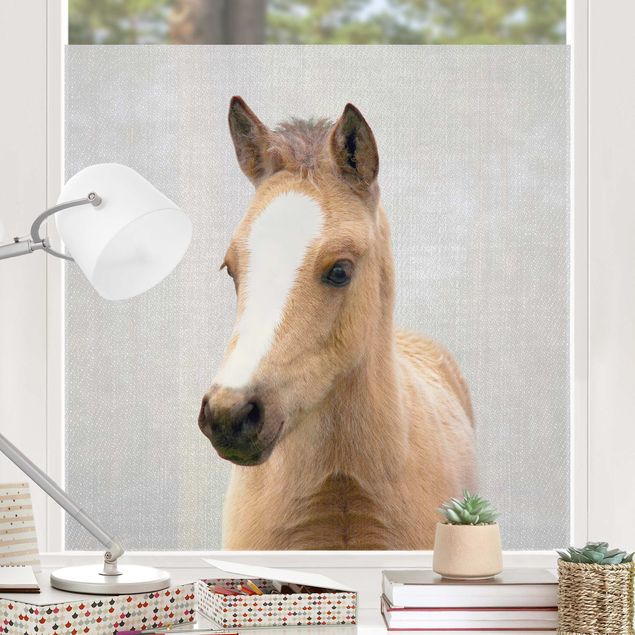 Stickers fenêtre animaux Petit cheval Philipp