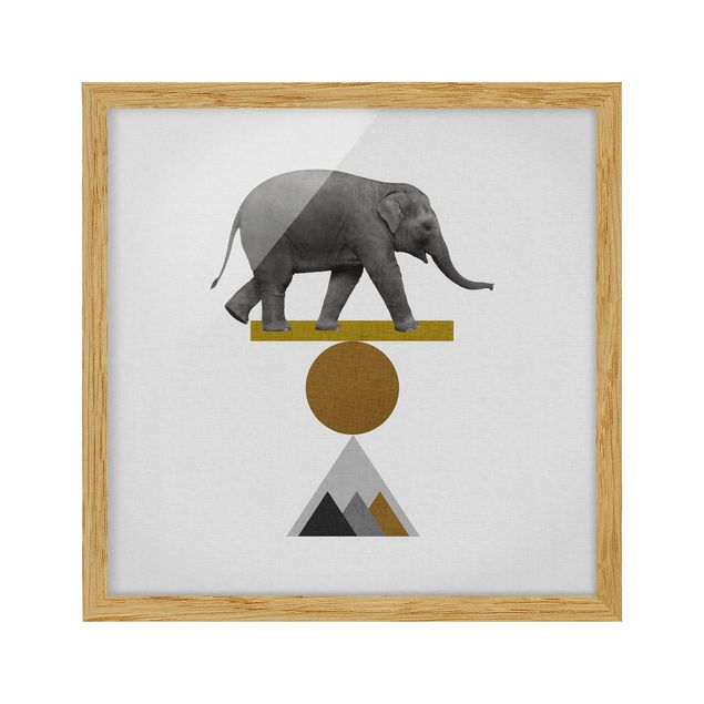 Tableaux reproduction Éléphant Art de l'équilibre