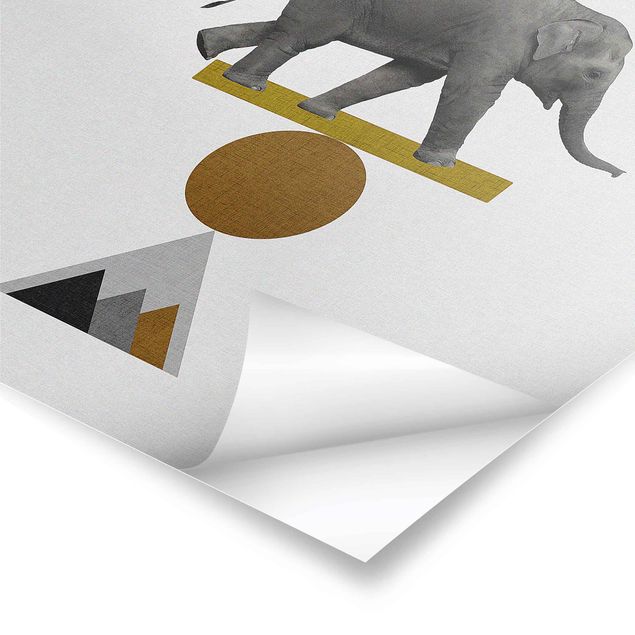 Tableaux muraux Éléphant Art de l'équilibre