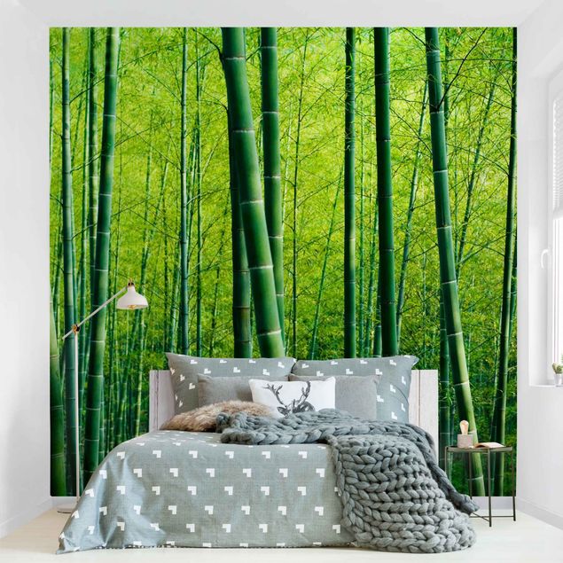Papier peint 3d trompe l oeil Forêt de bambous