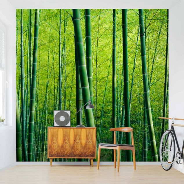 Papier peint panoramique forêt Forêt de bambous