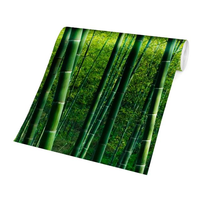 Papiers peints verts Forêt de bambous