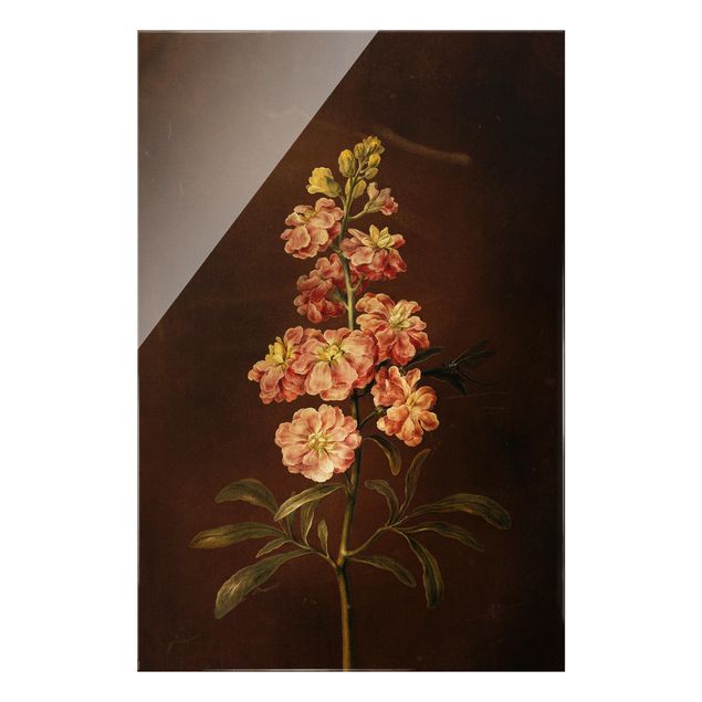 tableaux floraux Barbara Regina Dietzsch - Une giroflée rose pâle