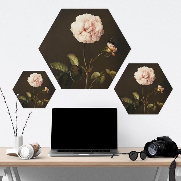 Tableau hexagonal Barbara Regina Dietzsch - French Rose with Bumblebee