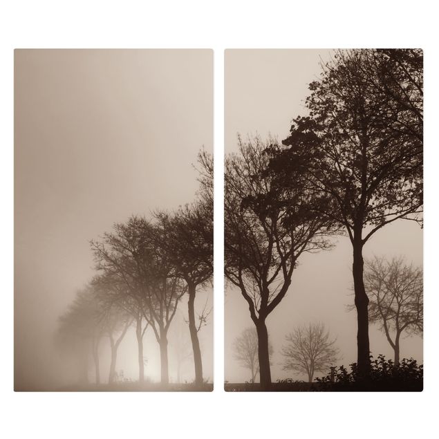 Cache plaques de cuisson - Tree Avanue In Morning Mist