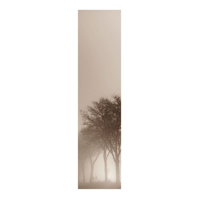 Panneau japonais paysage Arbre Avanue dans la brume du matin