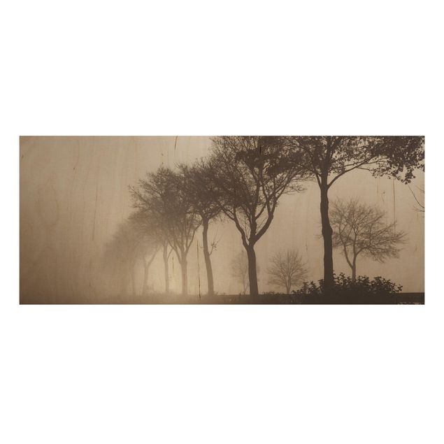 Tableaux en bois avec paysage Arbre Avanue dans la brume du matin