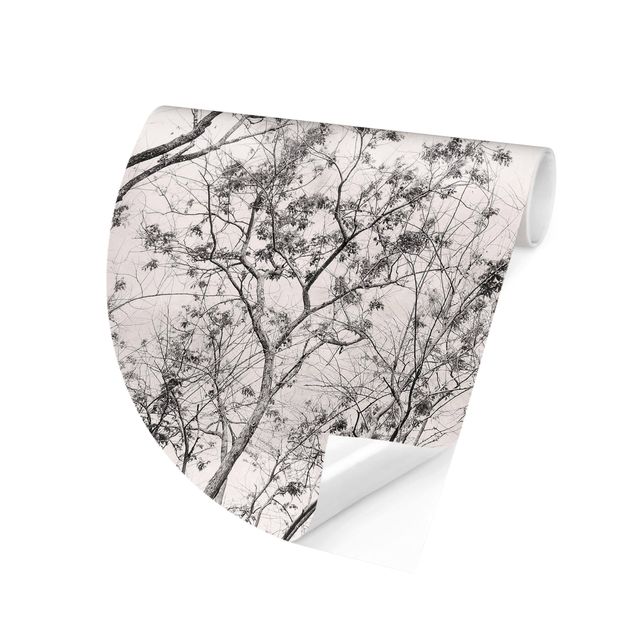 Papiers peints gris Treetops In The Sky In Warm Grey