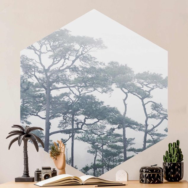 Papier peint moderne Cimes d'arbres dans le brouillard