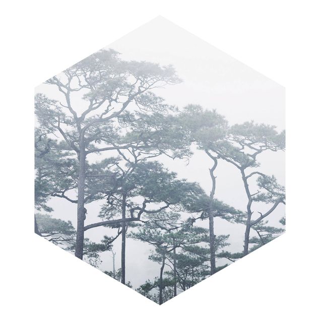 Papier peint panoramique Cimes d'arbres dans le brouillard