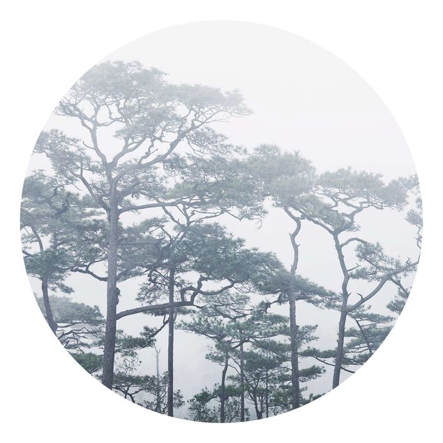 Tapisserie paysage Cimes d'arbres dans le brouillard