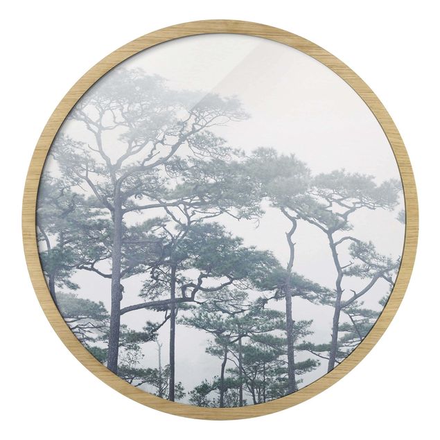 Tableaux moderne Cimes d'arbres dans le brouillard