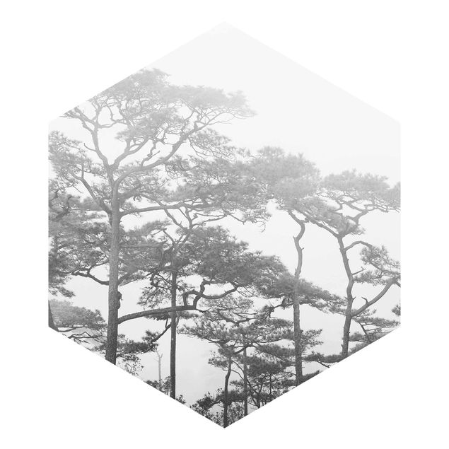 Papier peint hexagonal autocollant avec dessins - Treetops In Fog Black And White