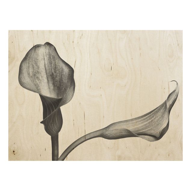 Tableaux en bois avec fleurs Gros plan de Calla Noir Et Blanc