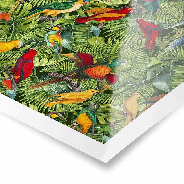 Tableau multicolor Collage coloré - Perroquets dans la jungle