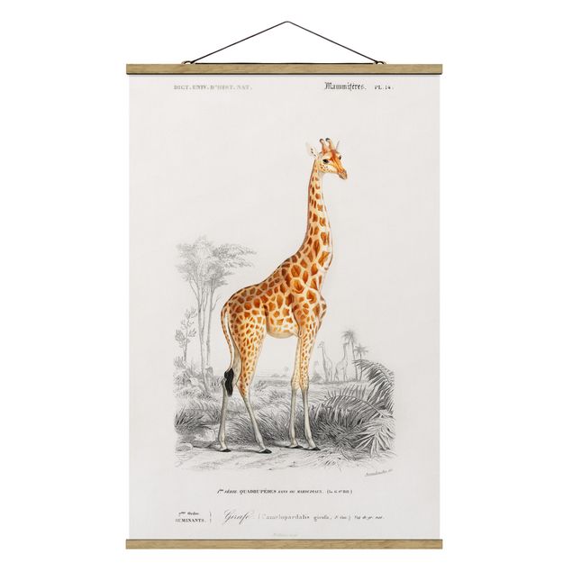 Tableau animaux afrique Tableau Vintage Girafe