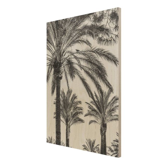 Tableaux en bois avec paysage Palmiers au coucher du soleil noir et blanc