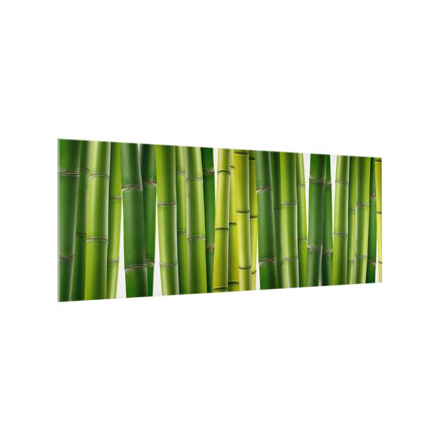 Fonds de hotte Plantes de bambou